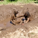 mud-people2wb