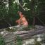 jeffery reid